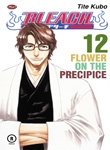 BLEACH  #12