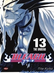 BLEACH  #13